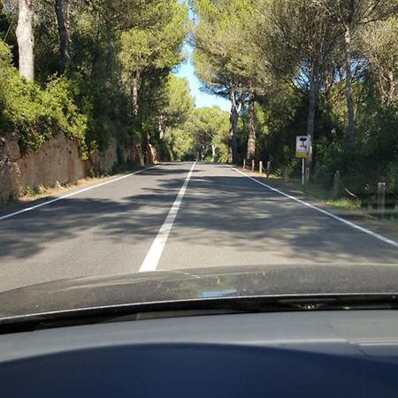 Los Vientos Son Parc Zewnętrze zdjęcie
