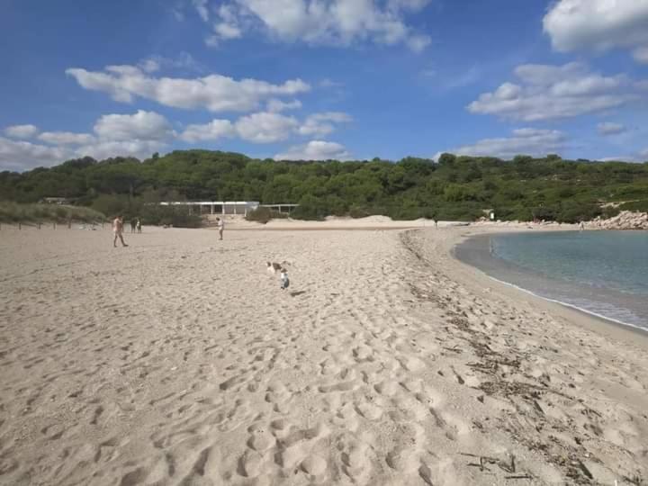 Los Vientos Son Parc Zewnętrze zdjęcie